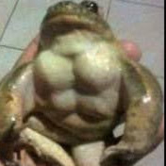 Meet your Posher, Arielle - Picture 1 of 1